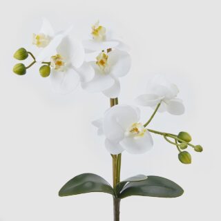 ORCHIDEA PHALAENOSIS ARTIFICIAL H38