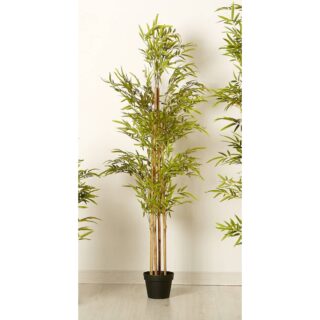 PLANTA BAMBÚ 165 CMS.