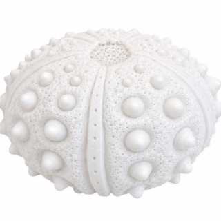 LÁMPARA LED DECORATIVA ARENISTICA ERIZO