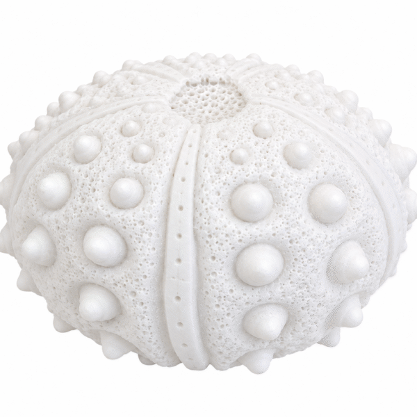LÁMPARA LED DECORATIVA ARENISTICA ERIZO