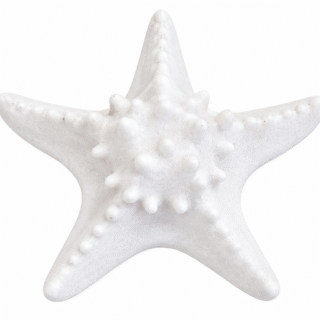 LÁMPARA LED DECORATIVA ARENISTICA ESTRELLA DE MAR