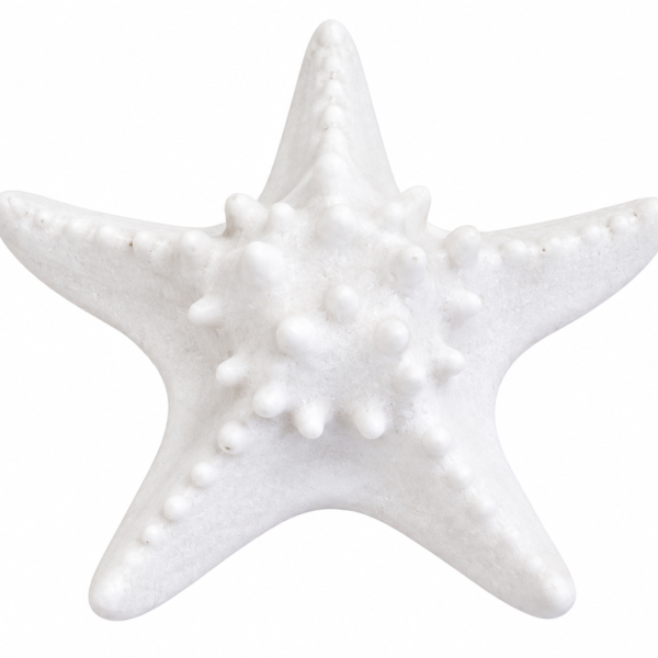 LÁMPARA LED DECORATIVA ARENISCA ESTRELLA DE MAR